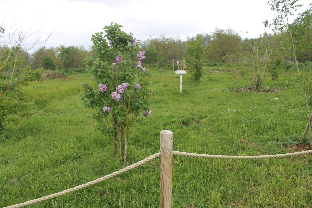 Ilot de biodiversite